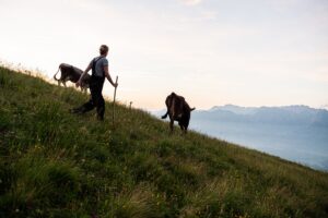 220621_Senn_auf_Zeit_Ornach_0873-©Tourismus-Hörnerdörfer @Frithjof-Kjer